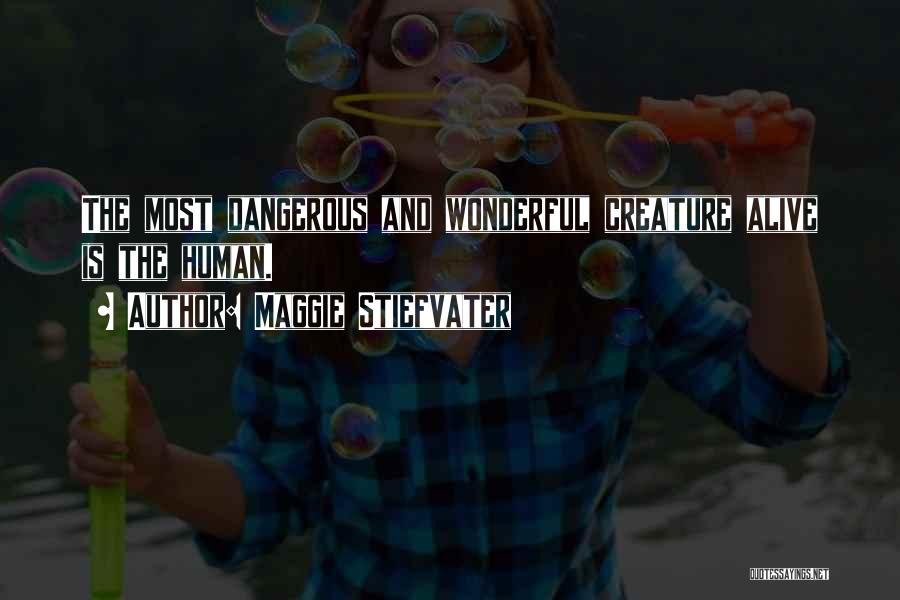 Maggie Stiefvater Quotes: The Most Dangerous And Wonderful Creature Alive Is The Human.
