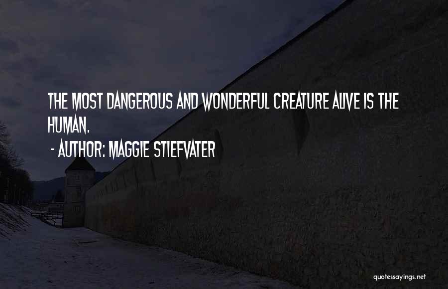 Maggie Stiefvater Quotes: The Most Dangerous And Wonderful Creature Alive Is The Human.