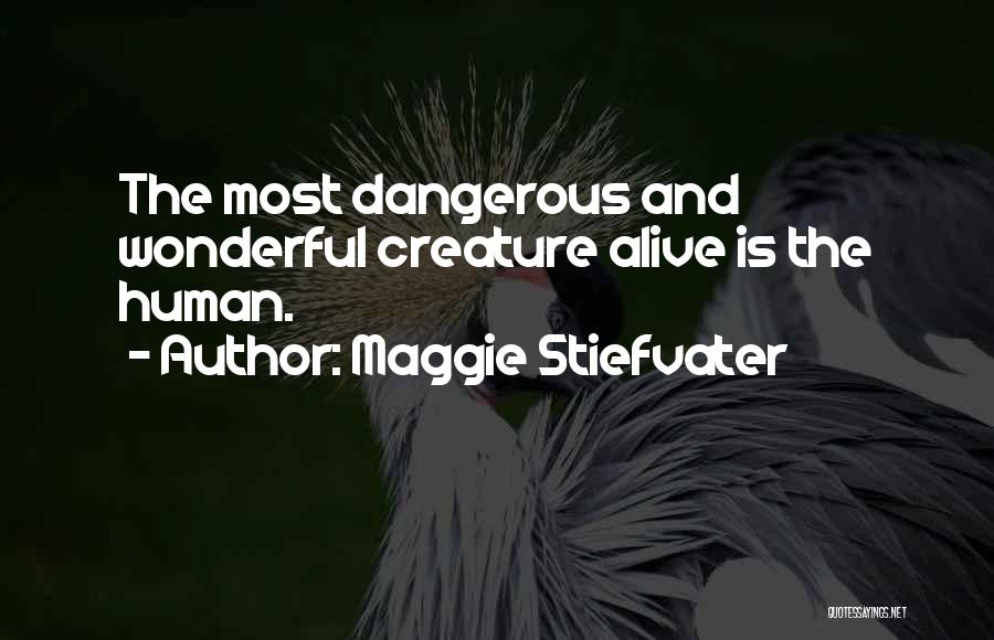 Maggie Stiefvater Quotes: The Most Dangerous And Wonderful Creature Alive Is The Human.