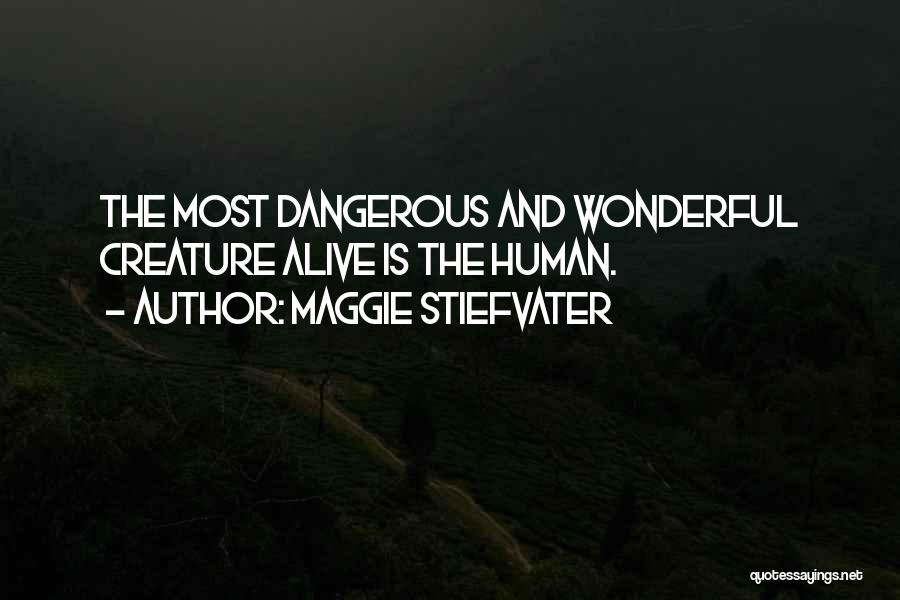 Maggie Stiefvater Quotes: The Most Dangerous And Wonderful Creature Alive Is The Human.
