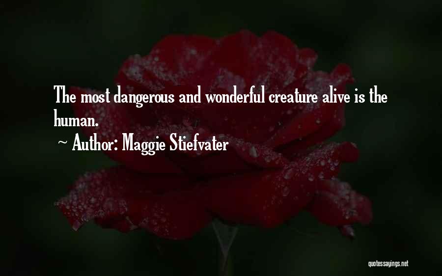 Maggie Stiefvater Quotes: The Most Dangerous And Wonderful Creature Alive Is The Human.