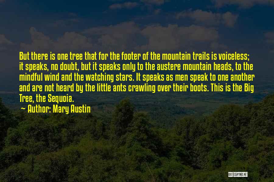 Mary Austin Quotes: But There Is One Tree That For The Footer Of The Mountain Trails Is Voiceless; It Speaks, No Doubt, But