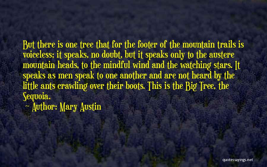 Mary Austin Quotes: But There Is One Tree That For The Footer Of The Mountain Trails Is Voiceless; It Speaks, No Doubt, But