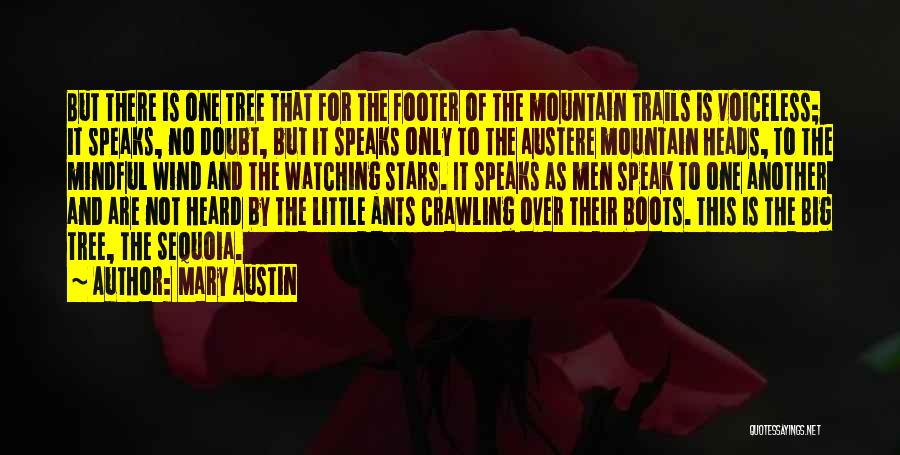 Mary Austin Quotes: But There Is One Tree That For The Footer Of The Mountain Trails Is Voiceless; It Speaks, No Doubt, But
