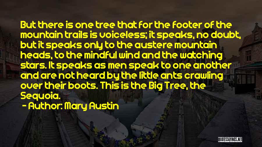 Mary Austin Quotes: But There Is One Tree That For The Footer Of The Mountain Trails Is Voiceless; It Speaks, No Doubt, But