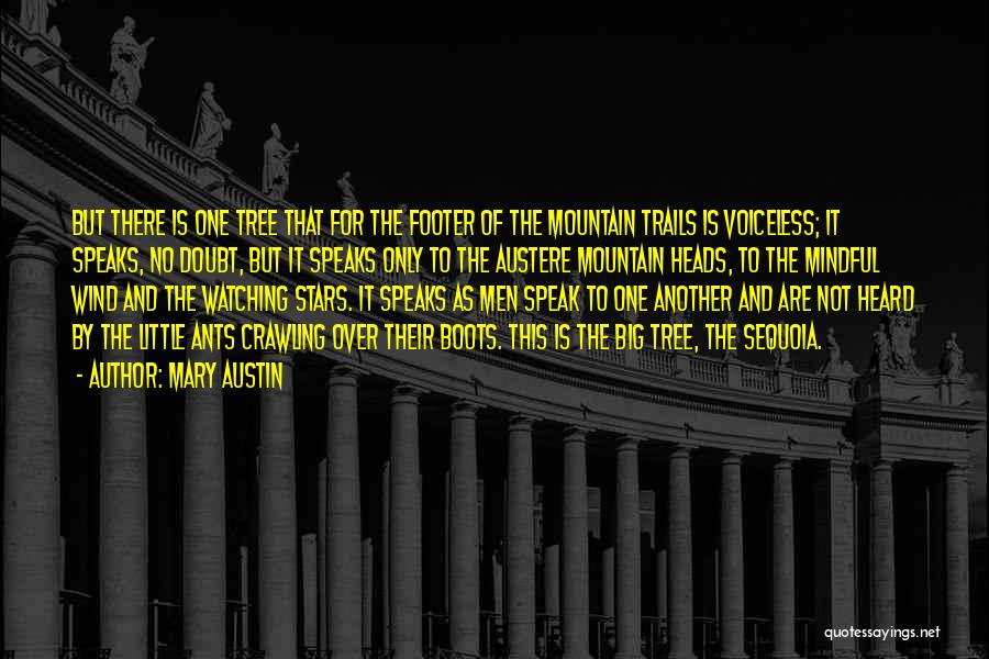 Mary Austin Quotes: But There Is One Tree That For The Footer Of The Mountain Trails Is Voiceless; It Speaks, No Doubt, But
