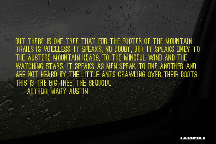 Mary Austin Quotes: But There Is One Tree That For The Footer Of The Mountain Trails Is Voiceless; It Speaks, No Doubt, But