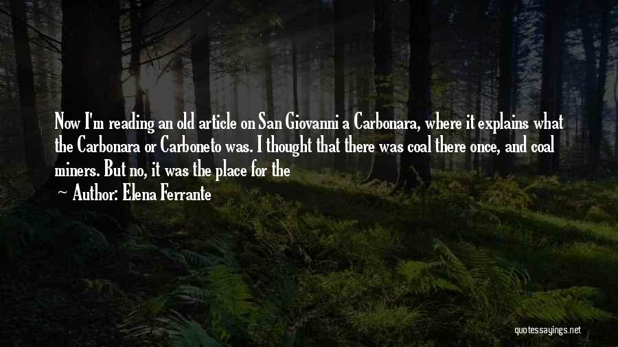 Elena Ferrante Quotes: Now I'm Reading An Old Article On San Giovanni A Carbonara, Where It Explains What The Carbonara Or Carboneto Was.