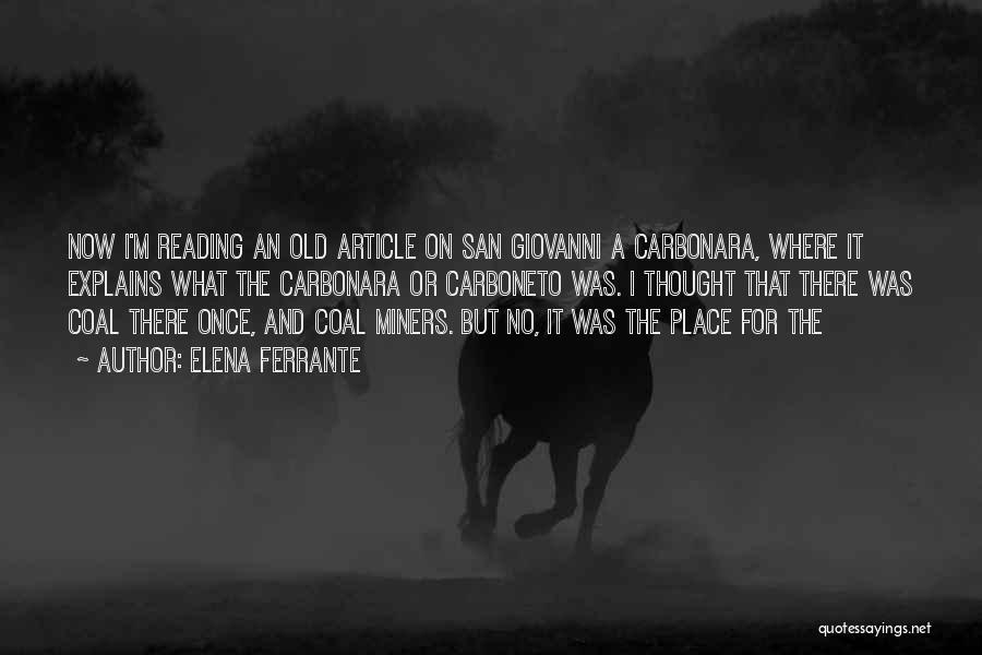 Elena Ferrante Quotes: Now I'm Reading An Old Article On San Giovanni A Carbonara, Where It Explains What The Carbonara Or Carboneto Was.