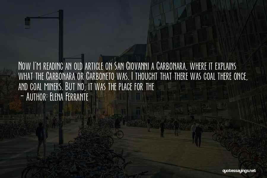 Elena Ferrante Quotes: Now I'm Reading An Old Article On San Giovanni A Carbonara, Where It Explains What The Carbonara Or Carboneto Was.