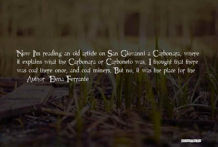 Elena Ferrante Quotes: Now I'm Reading An Old Article On San Giovanni A Carbonara, Where It Explains What The Carbonara Or Carboneto Was.