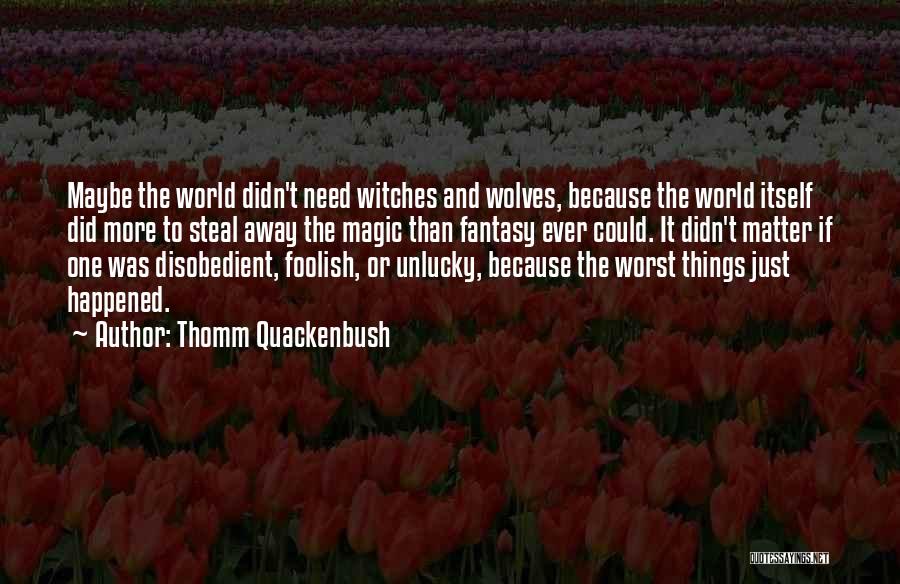 Thomm Quackenbush Quotes: Maybe The World Didn't Need Witches And Wolves, Because The World Itself Did More To Steal Away The Magic Than