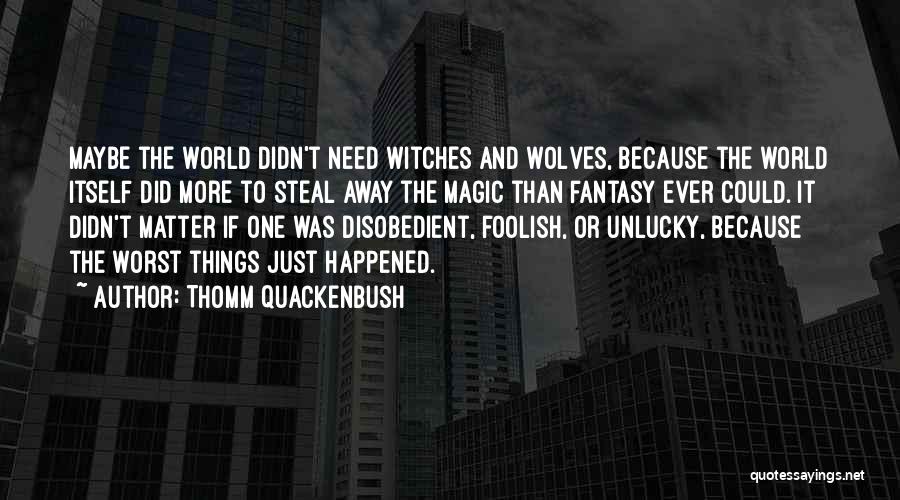 Thomm Quackenbush Quotes: Maybe The World Didn't Need Witches And Wolves, Because The World Itself Did More To Steal Away The Magic Than