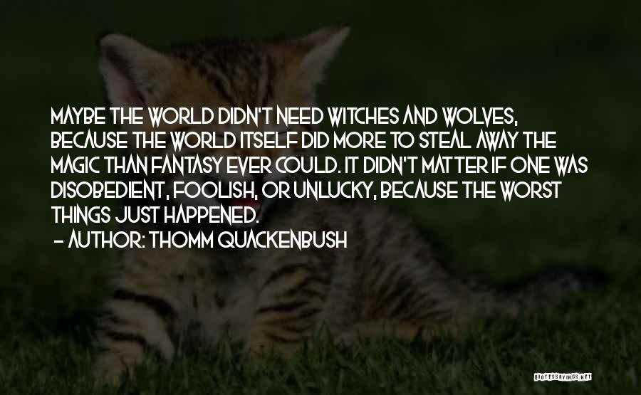 Thomm Quackenbush Quotes: Maybe The World Didn't Need Witches And Wolves, Because The World Itself Did More To Steal Away The Magic Than