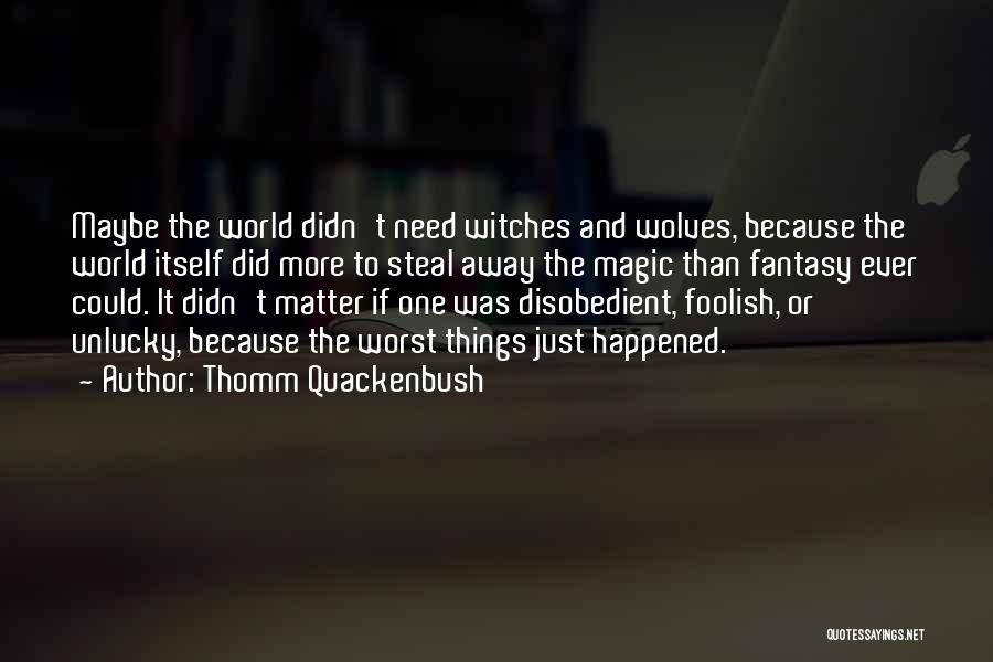 Thomm Quackenbush Quotes: Maybe The World Didn't Need Witches And Wolves, Because The World Itself Did More To Steal Away The Magic Than