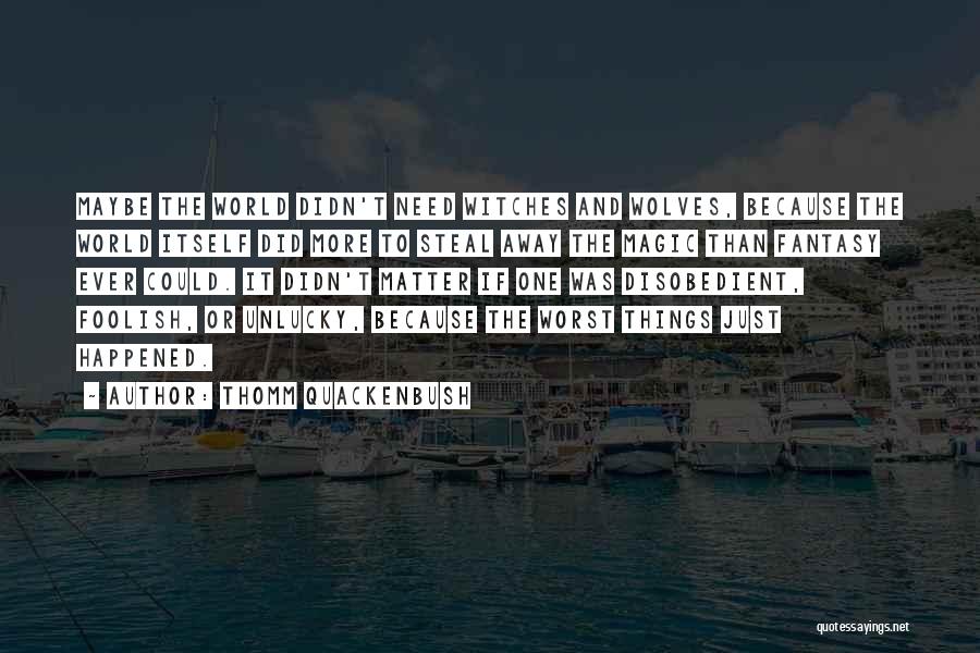 Thomm Quackenbush Quotes: Maybe The World Didn't Need Witches And Wolves, Because The World Itself Did More To Steal Away The Magic Than