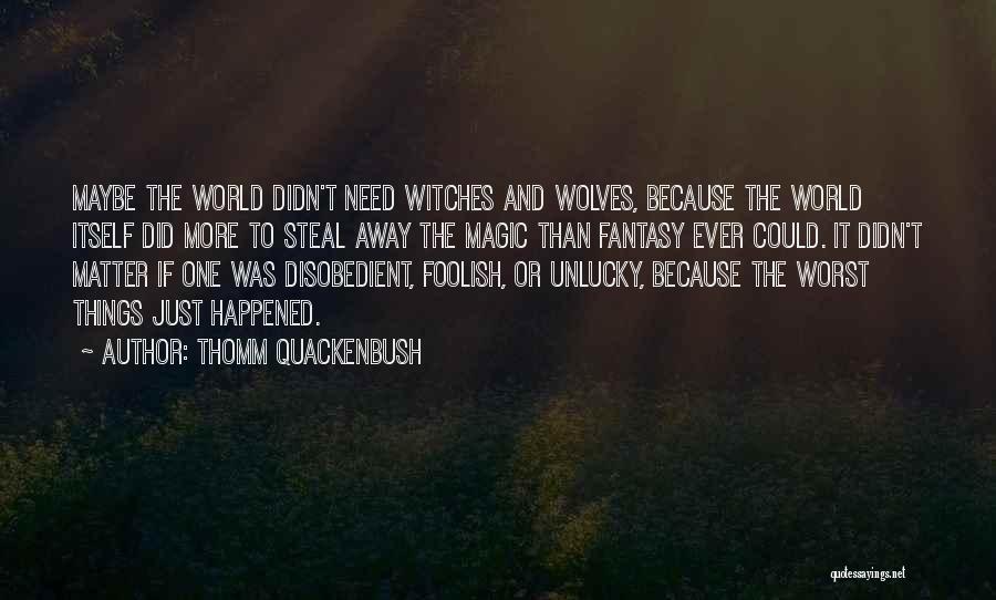 Thomm Quackenbush Quotes: Maybe The World Didn't Need Witches And Wolves, Because The World Itself Did More To Steal Away The Magic Than