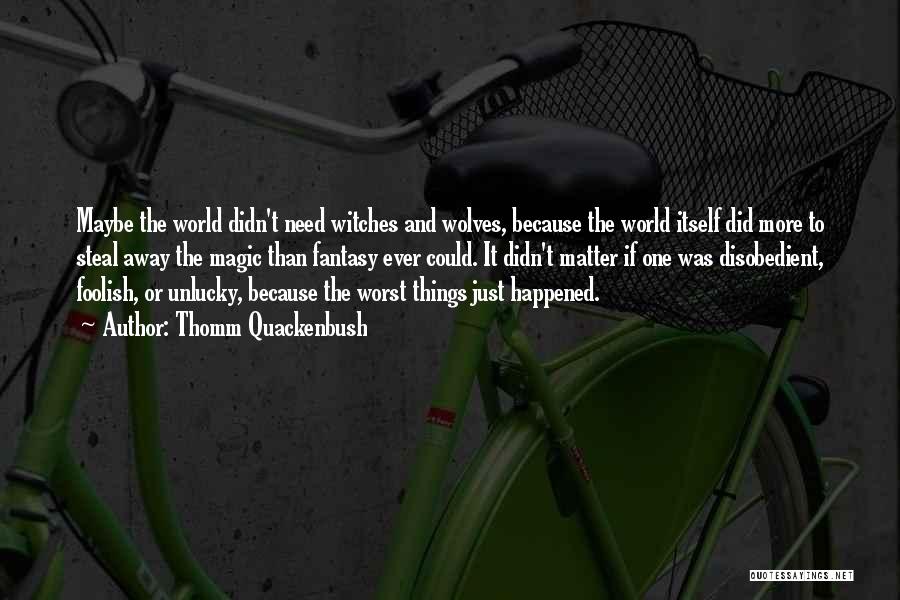 Thomm Quackenbush Quotes: Maybe The World Didn't Need Witches And Wolves, Because The World Itself Did More To Steal Away The Magic Than