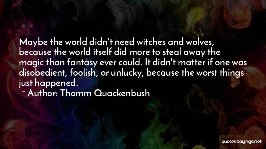 Thomm Quackenbush Quotes: Maybe The World Didn't Need Witches And Wolves, Because The World Itself Did More To Steal Away The Magic Than