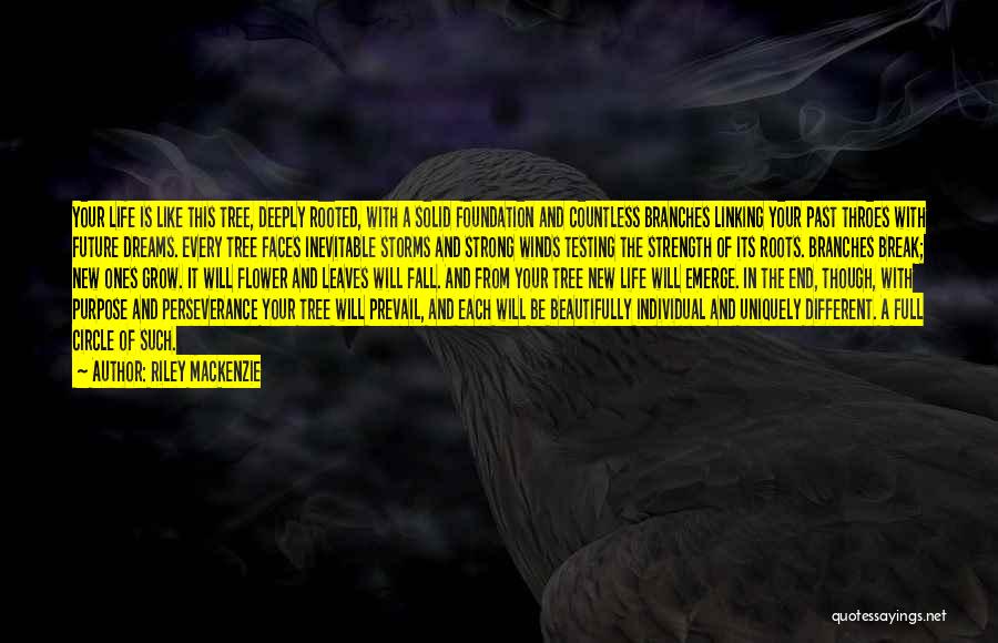 Riley Mackenzie Quotes: Your Life Is Like This Tree, Deeply Rooted, With A Solid Foundation And Countless Branches Linking Your Past Throes With