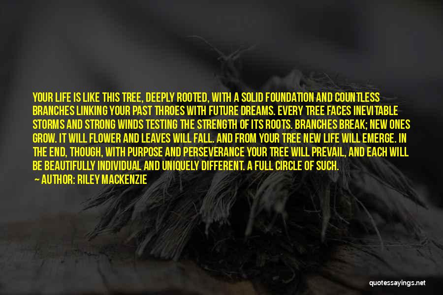 Riley Mackenzie Quotes: Your Life Is Like This Tree, Deeply Rooted, With A Solid Foundation And Countless Branches Linking Your Past Throes With