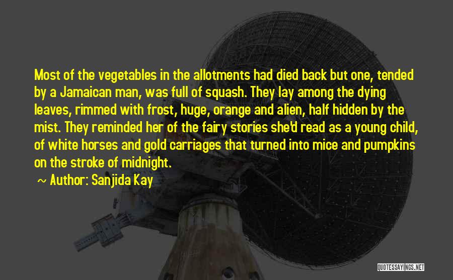 Sanjida Kay Quotes: Most Of The Vegetables In The Allotments Had Died Back But One, Tended By A Jamaican Man, Was Full Of