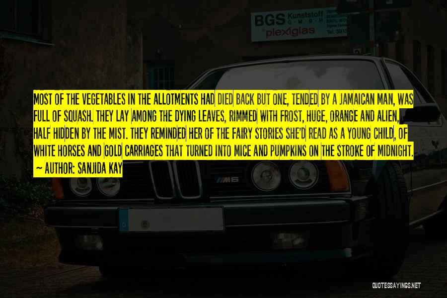 Sanjida Kay Quotes: Most Of The Vegetables In The Allotments Had Died Back But One, Tended By A Jamaican Man, Was Full Of