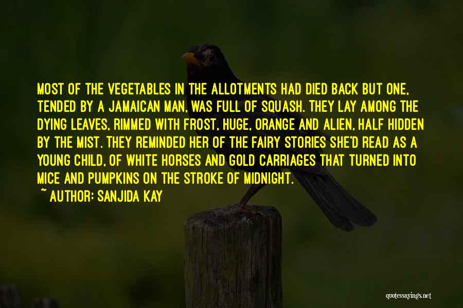 Sanjida Kay Quotes: Most Of The Vegetables In The Allotments Had Died Back But One, Tended By A Jamaican Man, Was Full Of