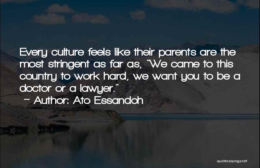 Ato Essandoh Quotes: Every Culture Feels Like Their Parents Are The Most Stringent As Far As, We Came To This Country To Work
