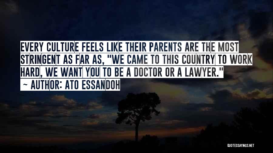 Ato Essandoh Quotes: Every Culture Feels Like Their Parents Are The Most Stringent As Far As, We Came To This Country To Work