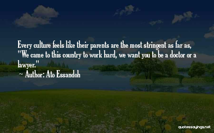 Ato Essandoh Quotes: Every Culture Feels Like Their Parents Are The Most Stringent As Far As, We Came To This Country To Work