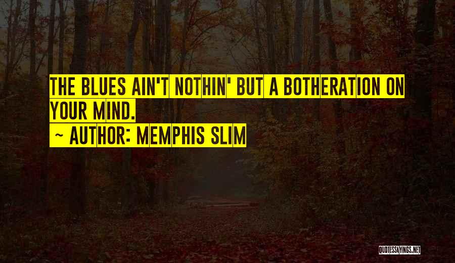 Memphis Slim Quotes: The Blues Ain't Nothin' But A Botheration On Your Mind.