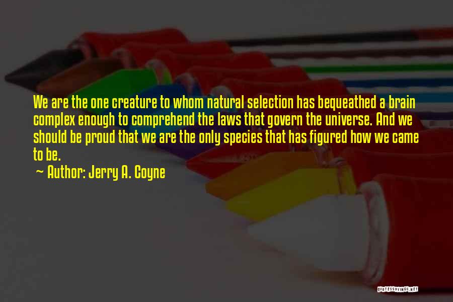 Jerry A. Coyne Quotes: We Are The One Creature To Whom Natural Selection Has Bequeathed A Brain Complex Enough To Comprehend The Laws That