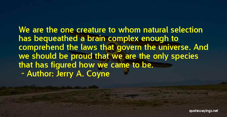 Jerry A. Coyne Quotes: We Are The One Creature To Whom Natural Selection Has Bequeathed A Brain Complex Enough To Comprehend The Laws That