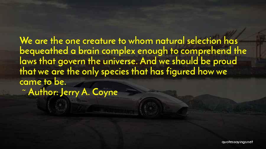 Jerry A. Coyne Quotes: We Are The One Creature To Whom Natural Selection Has Bequeathed A Brain Complex Enough To Comprehend The Laws That