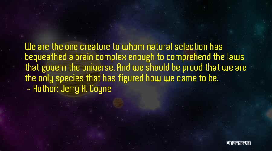 Jerry A. Coyne Quotes: We Are The One Creature To Whom Natural Selection Has Bequeathed A Brain Complex Enough To Comprehend The Laws That