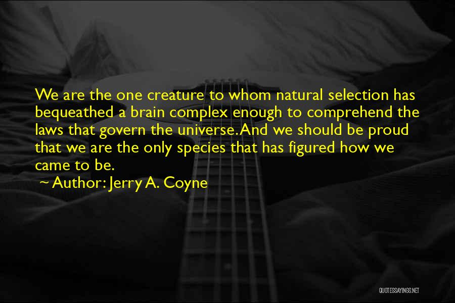 Jerry A. Coyne Quotes: We Are The One Creature To Whom Natural Selection Has Bequeathed A Brain Complex Enough To Comprehend The Laws That