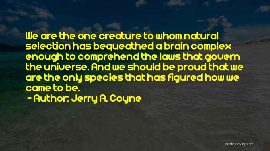 Jerry A. Coyne Quotes: We Are The One Creature To Whom Natural Selection Has Bequeathed A Brain Complex Enough To Comprehend The Laws That
