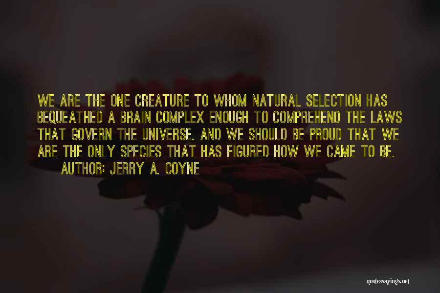 Jerry A. Coyne Quotes: We Are The One Creature To Whom Natural Selection Has Bequeathed A Brain Complex Enough To Comprehend The Laws That