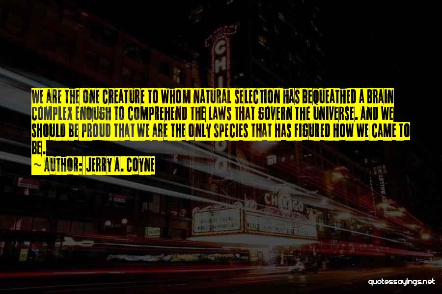 Jerry A. Coyne Quotes: We Are The One Creature To Whom Natural Selection Has Bequeathed A Brain Complex Enough To Comprehend The Laws That