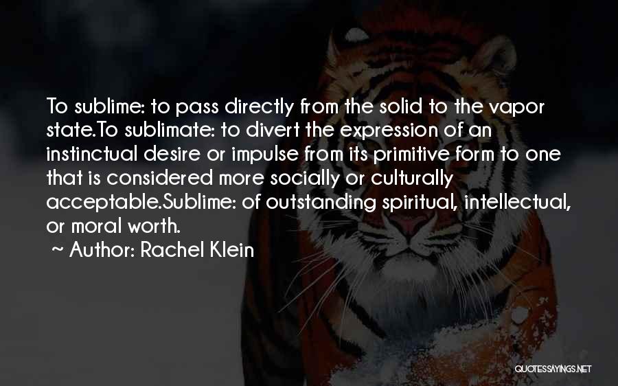 Rachel Klein Quotes: To Sublime: To Pass Directly From The Solid To The Vapor State.to Sublimate: To Divert The Expression Of An Instinctual