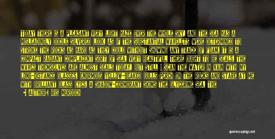 Iris Murdoch Quotes: Today There Is A Pleasant Very Light Haze Over The Whole Sky, And The Sea Has A Misleadingly Docile Silvered