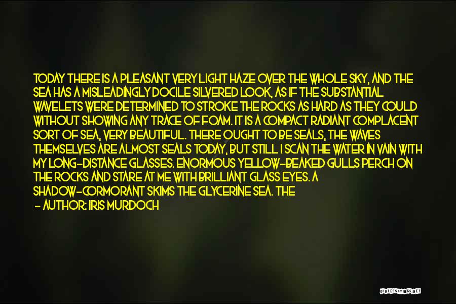 Iris Murdoch Quotes: Today There Is A Pleasant Very Light Haze Over The Whole Sky, And The Sea Has A Misleadingly Docile Silvered