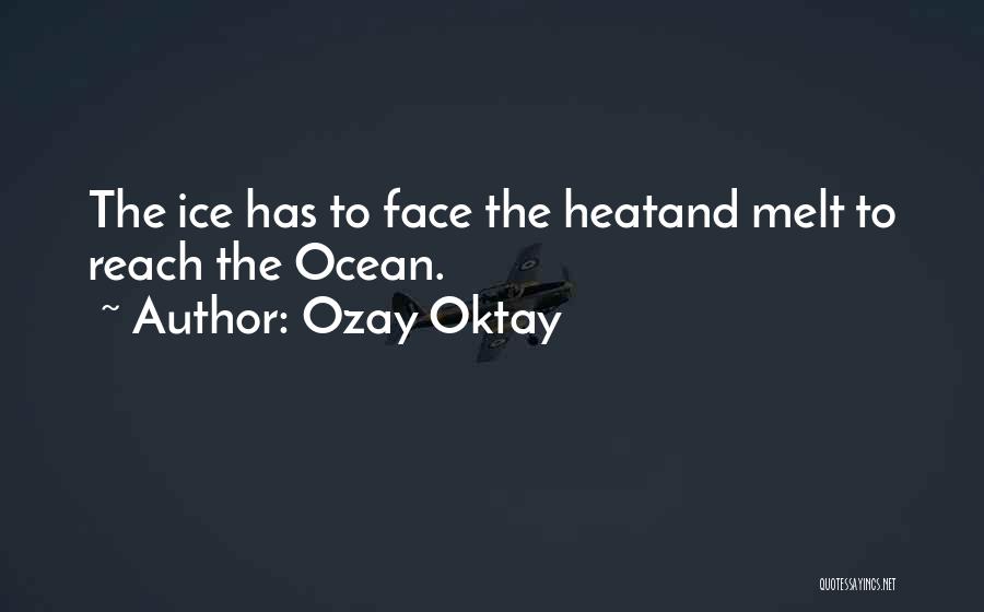 Ozay Oktay Quotes: The Ice Has To Face The Heatand Melt To Reach The Ocean.