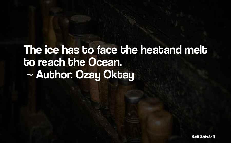 Ozay Oktay Quotes: The Ice Has To Face The Heatand Melt To Reach The Ocean.