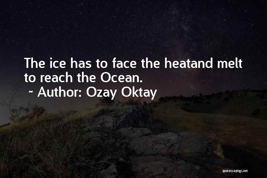 Ozay Oktay Quotes: The Ice Has To Face The Heatand Melt To Reach The Ocean.