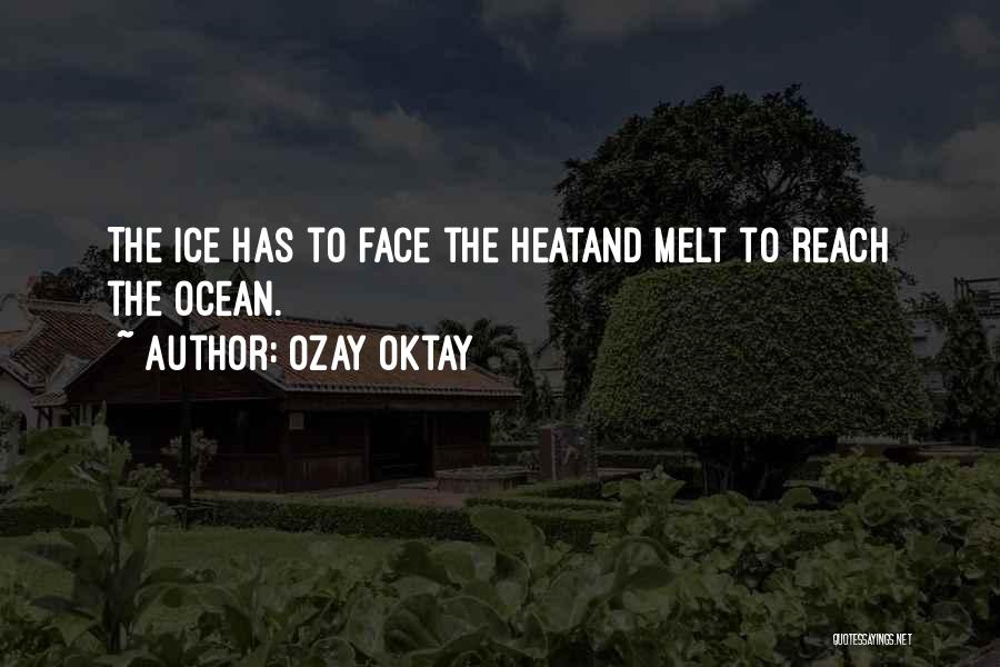 Ozay Oktay Quotes: The Ice Has To Face The Heatand Melt To Reach The Ocean.