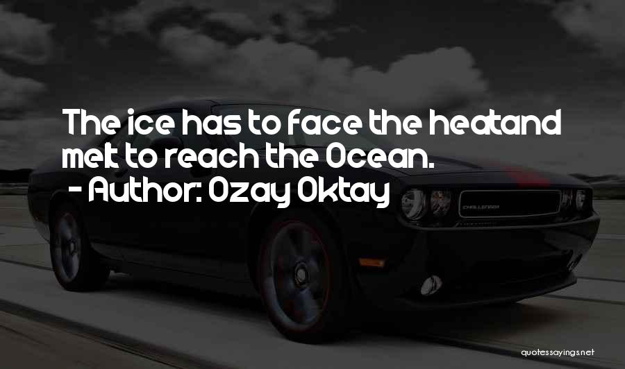 Ozay Oktay Quotes: The Ice Has To Face The Heatand Melt To Reach The Ocean.