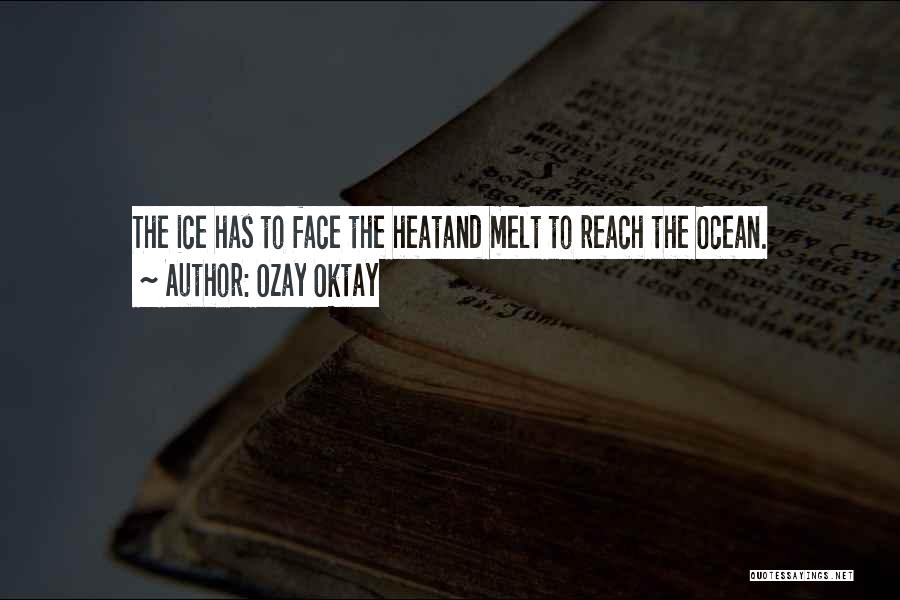 Ozay Oktay Quotes: The Ice Has To Face The Heatand Melt To Reach The Ocean.