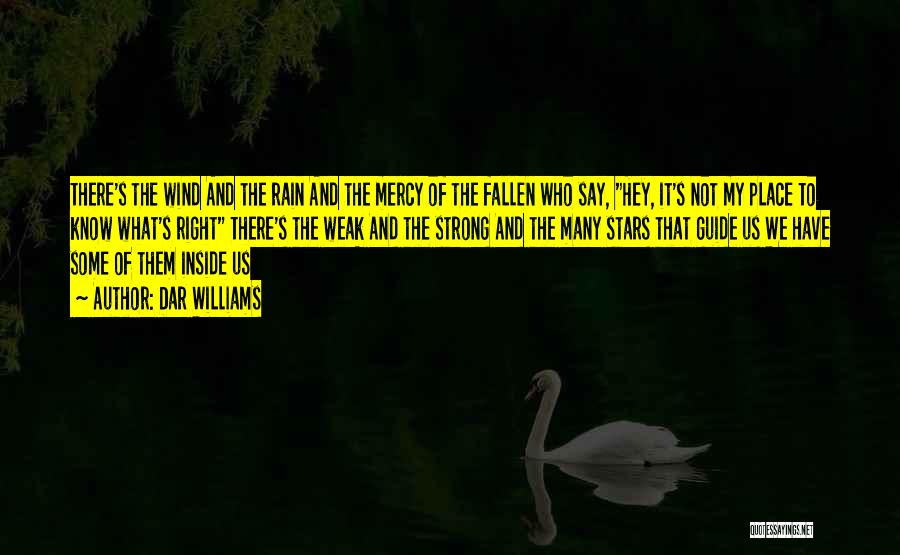 Dar Williams Quotes: There's The Wind And The Rain And The Mercy Of The Fallen Who Say, Hey, It's Not My Place To